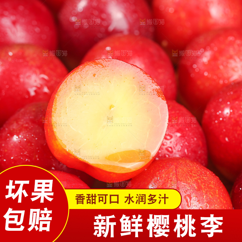 浅底上的樱桃李