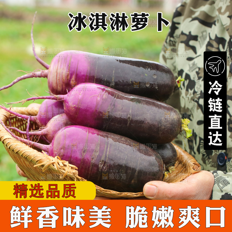 手里拿着冰淇凌萝卜