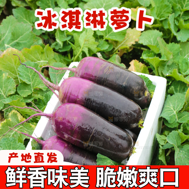 地里的冰淇凌萝卜
