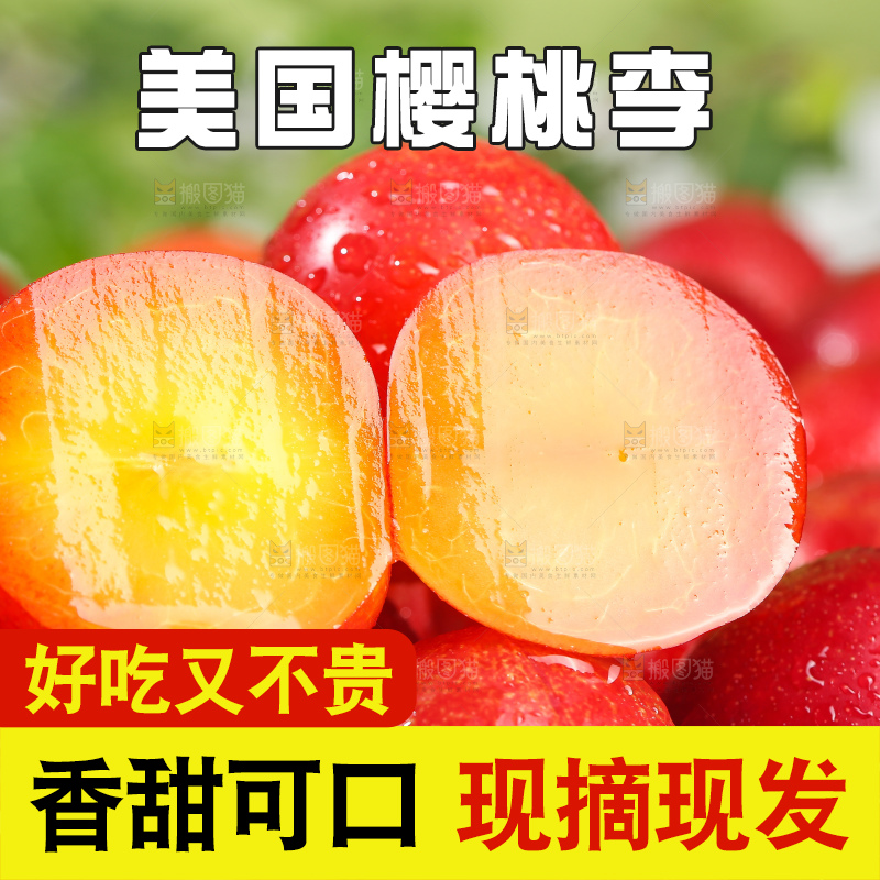 浅底上的樱桃李