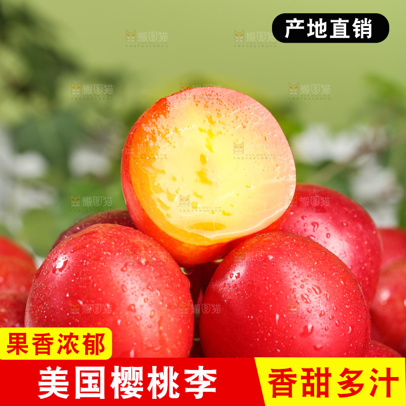 浅底上的樱桃李