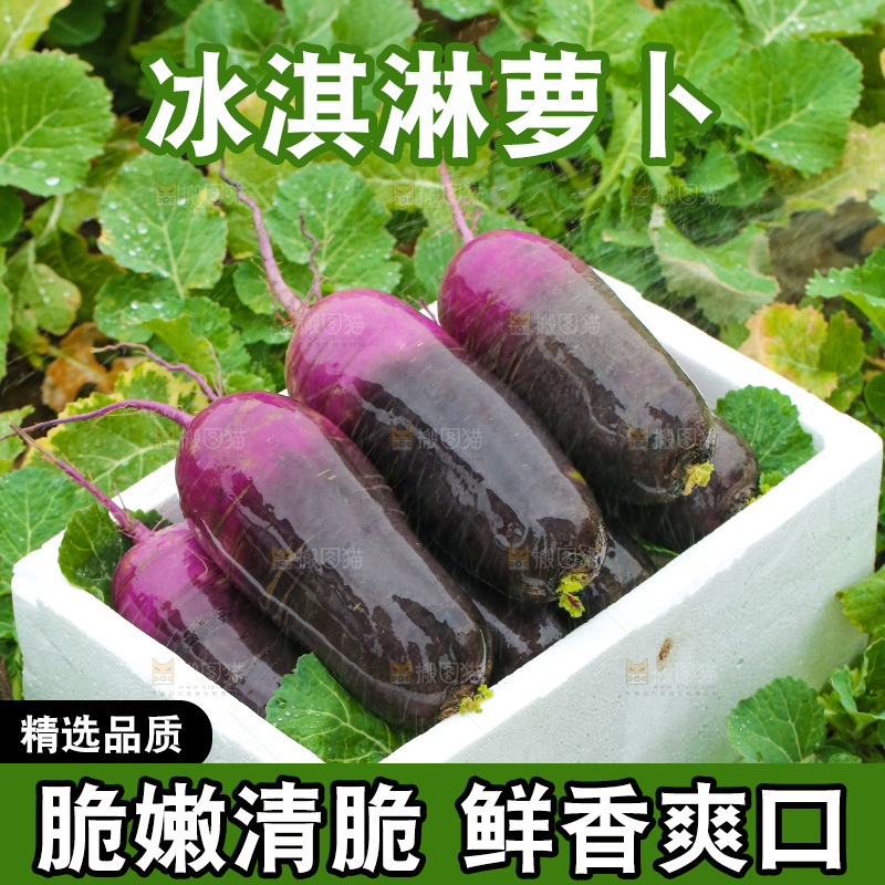 地里的冰淇凌萝卜