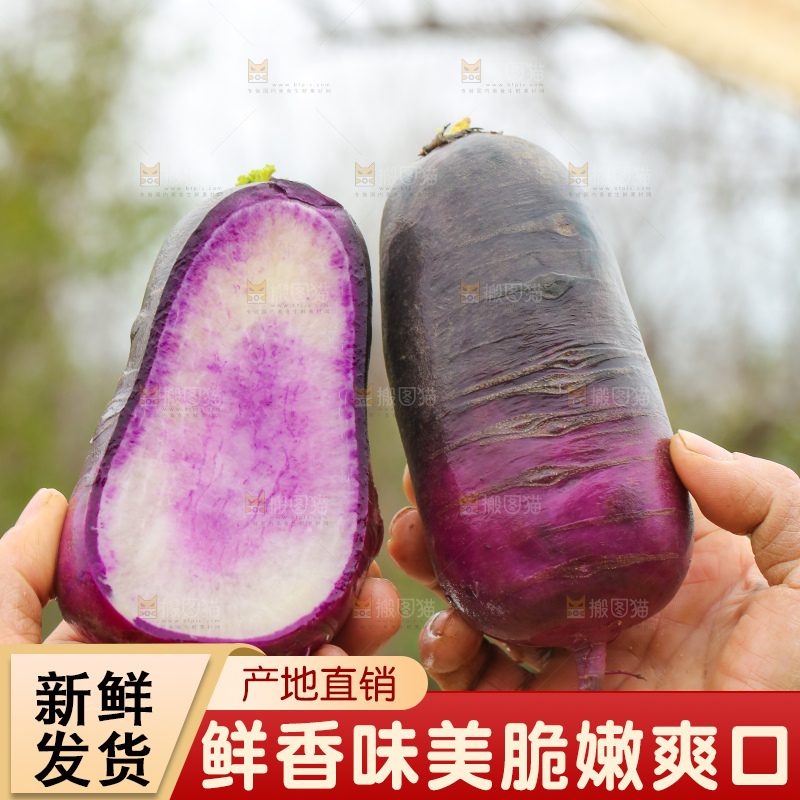 手里拿着冰淇凌萝卜