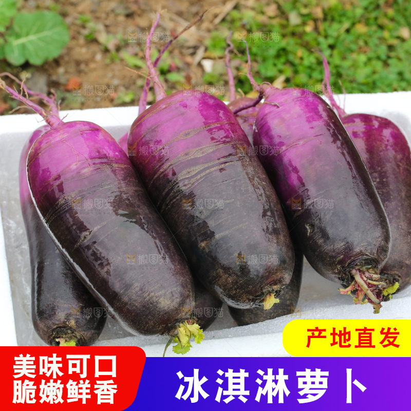 地里的冰淇凌萝卜