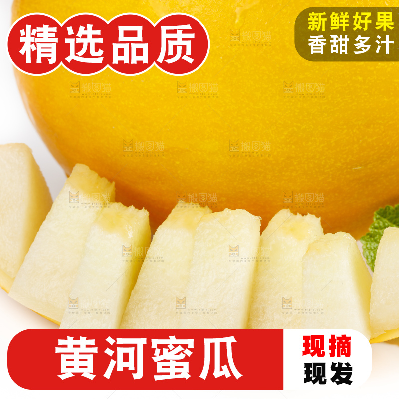 白底上的黄河蜜瓜