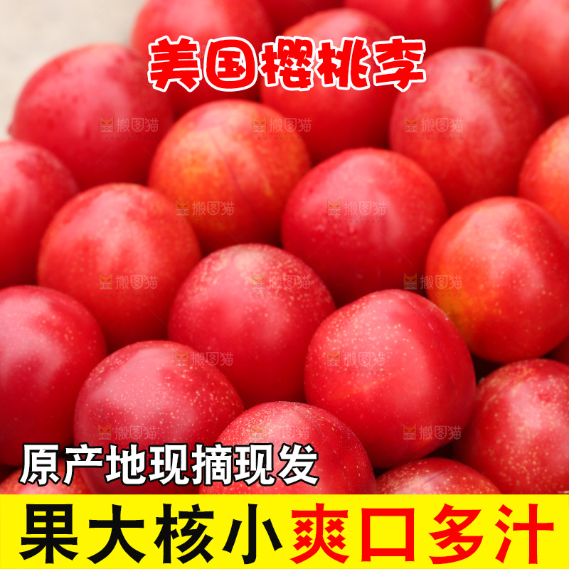 深底上的樱桃李