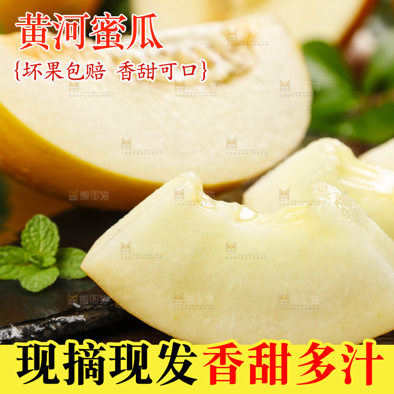 深底上的黄河蜜瓜