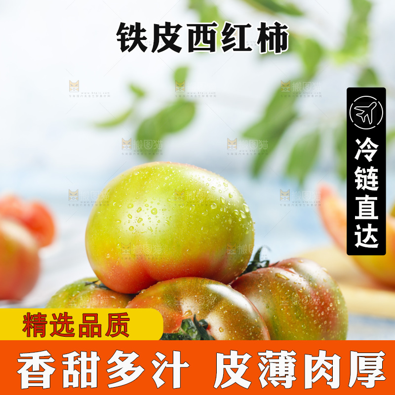 浅底上的铁皮西红柿