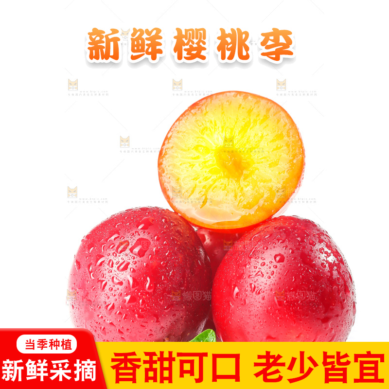 白底上的樱桃李