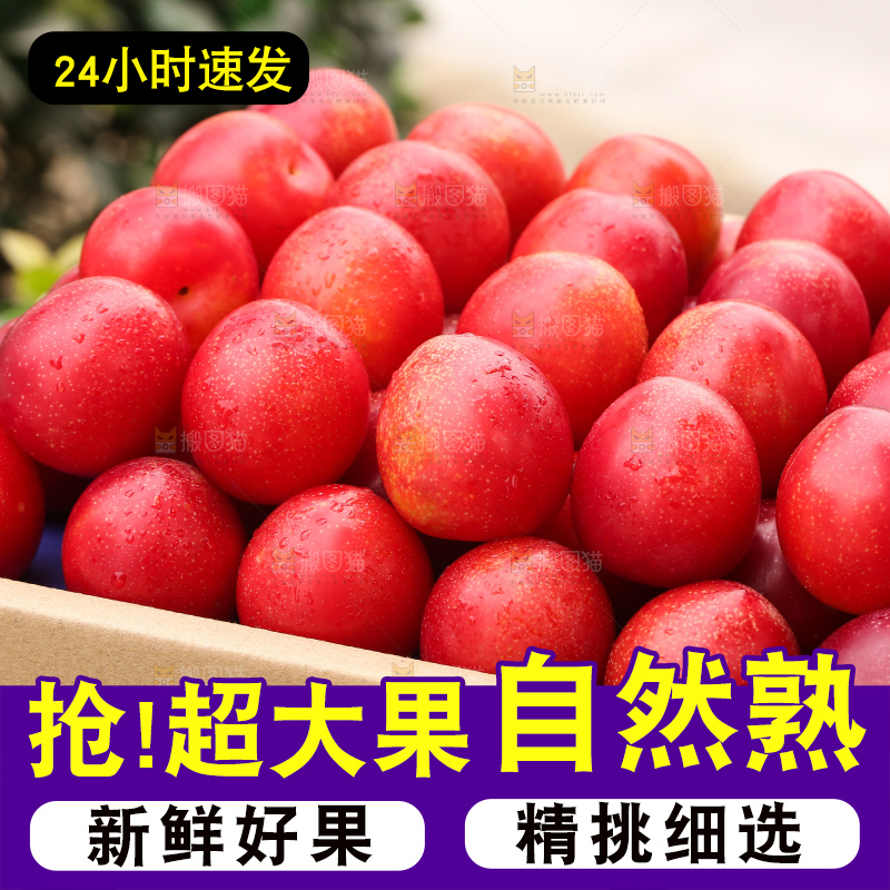 深底上的樱桃李