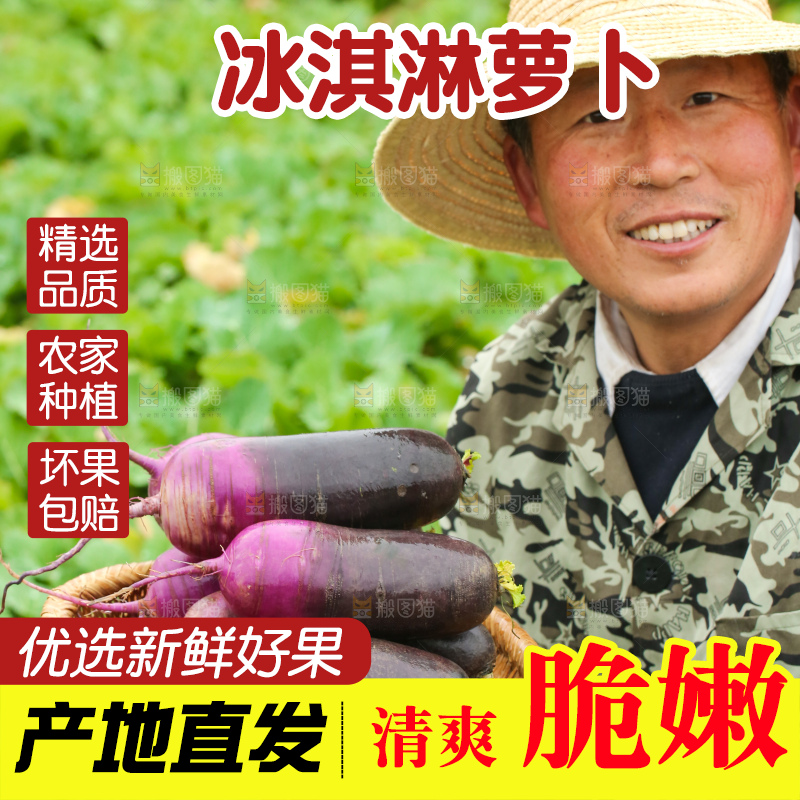 手里拿着冰淇凌萝卜