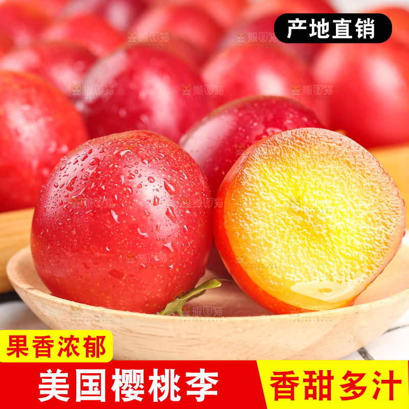 浅底上的樱桃李