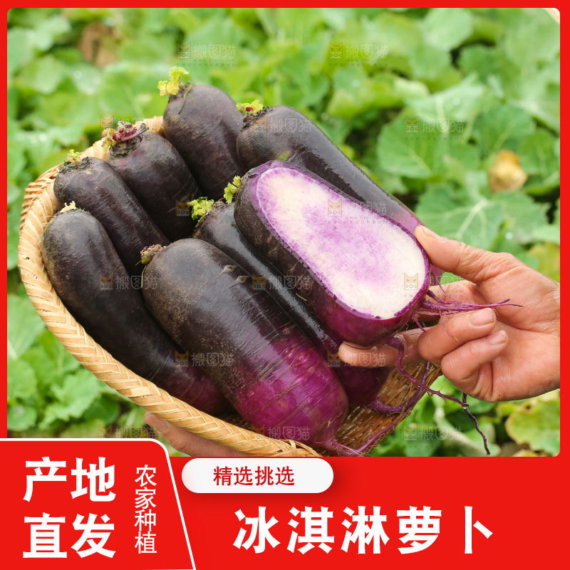 手里拿着冰淇凌萝卜