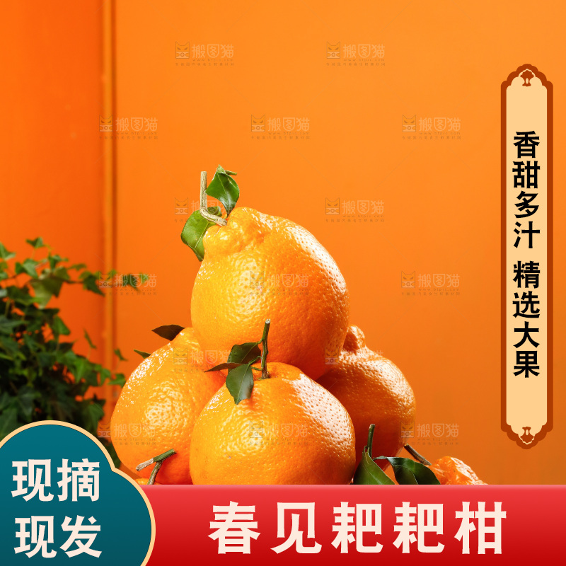 深底上的春见耙耙柑
