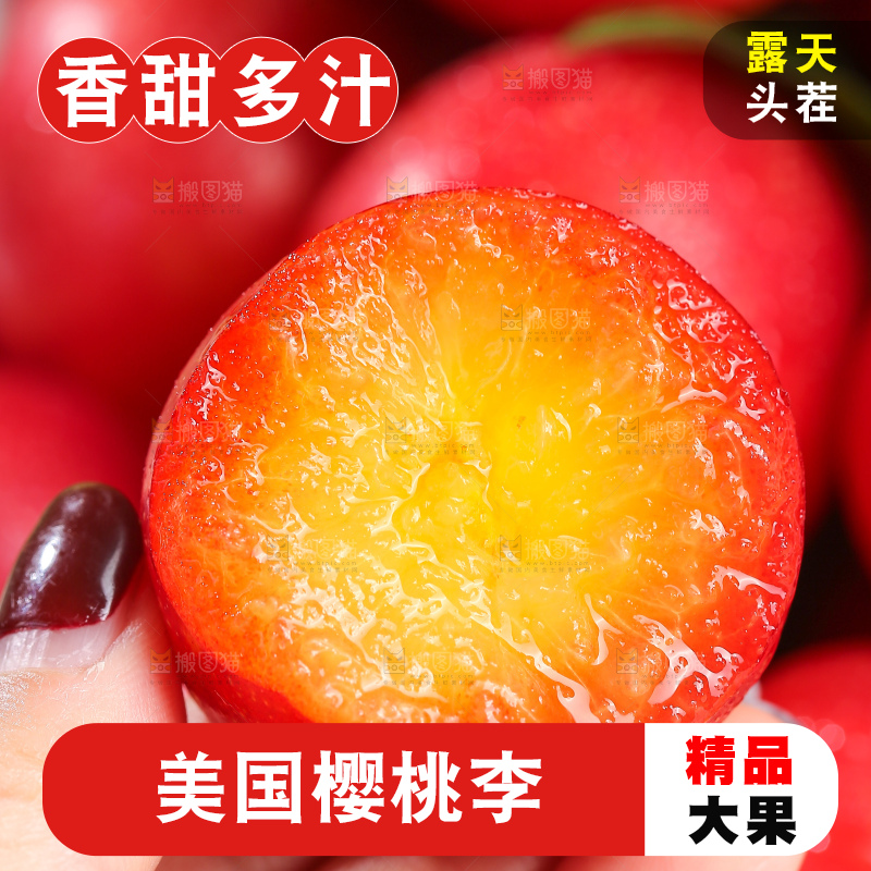 浅底上的樱桃李