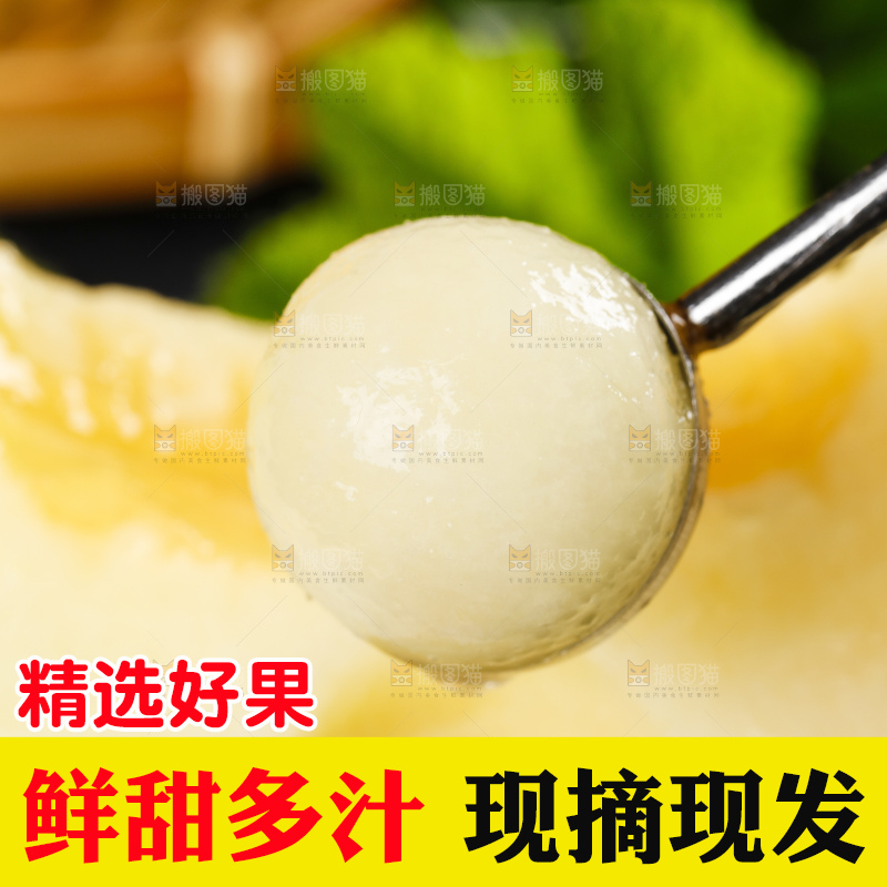 深底上的黄河蜜瓜