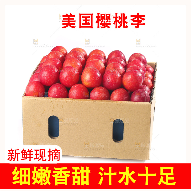 白底上的樱桃李