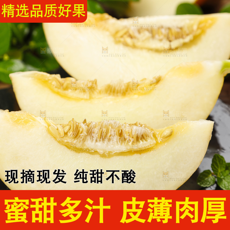 深底上的黄河蜜瓜