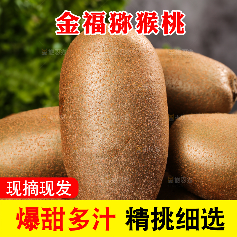 深底上的金福猕猴桃