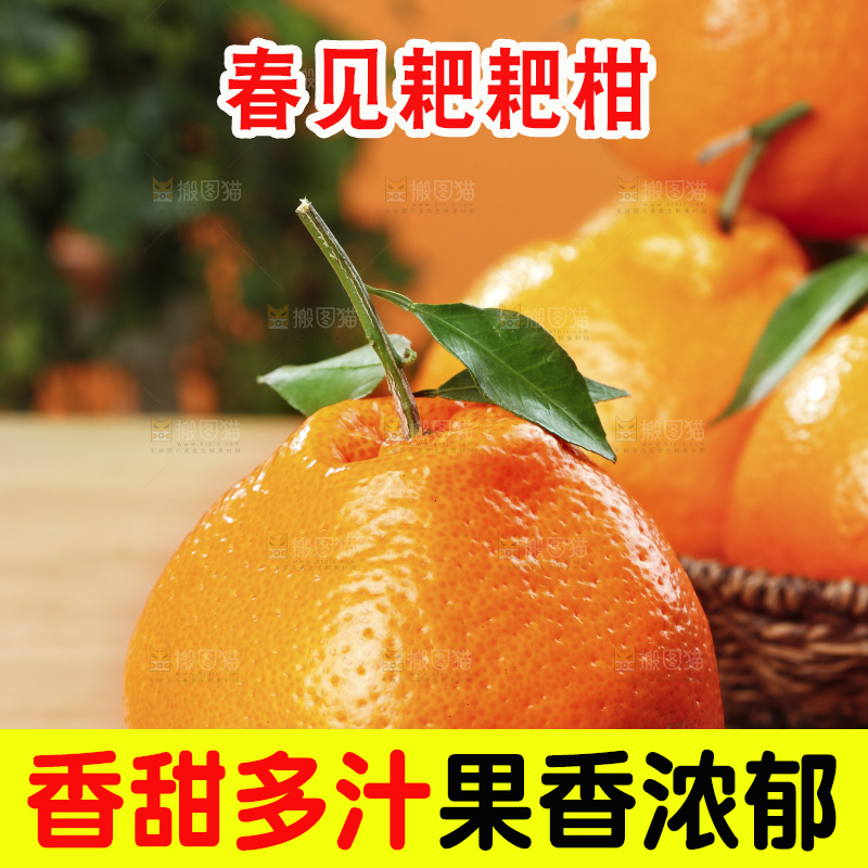 深底上的春见耙耙柑