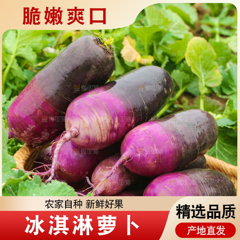地里的冰淇凌萝卜