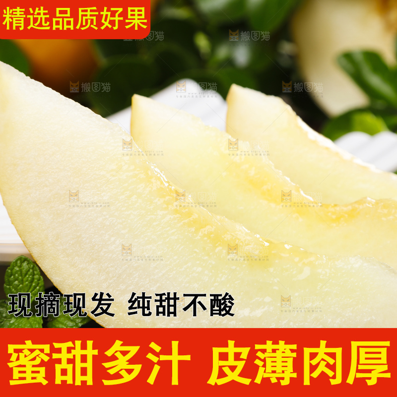 深底上的黄河蜜瓜