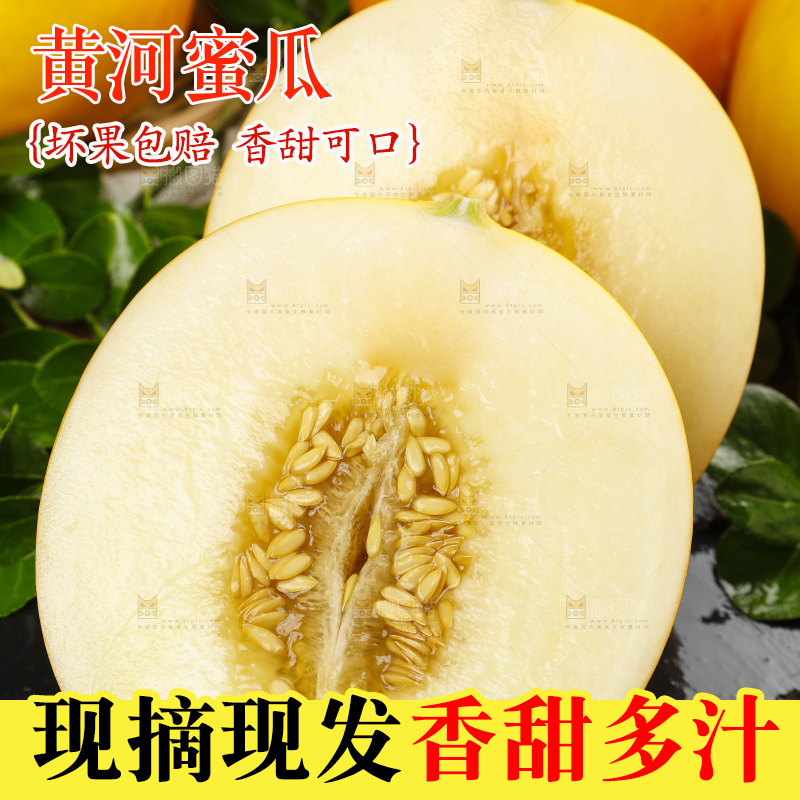 深底上的黄河蜜瓜