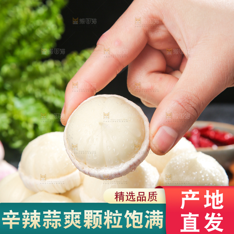 深底上的紫皮独蒜