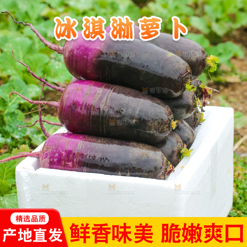地里的冰淇凌萝卜