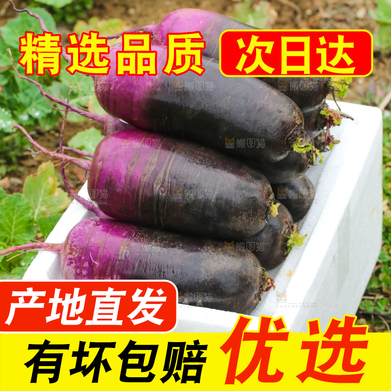 地里的冰淇凌萝卜