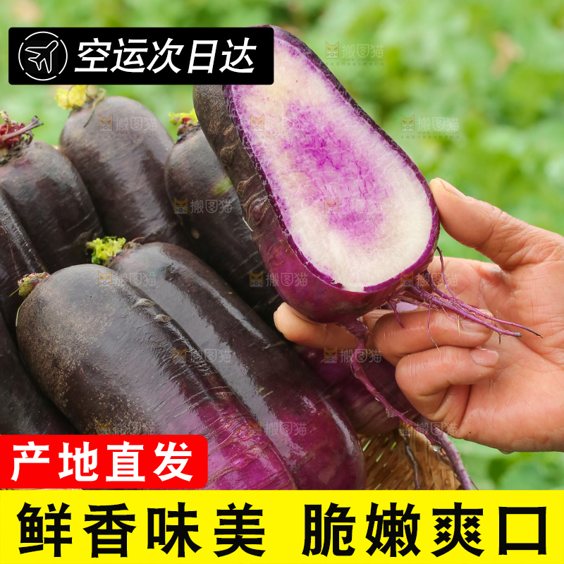 手里拿着冰淇凌萝卜
