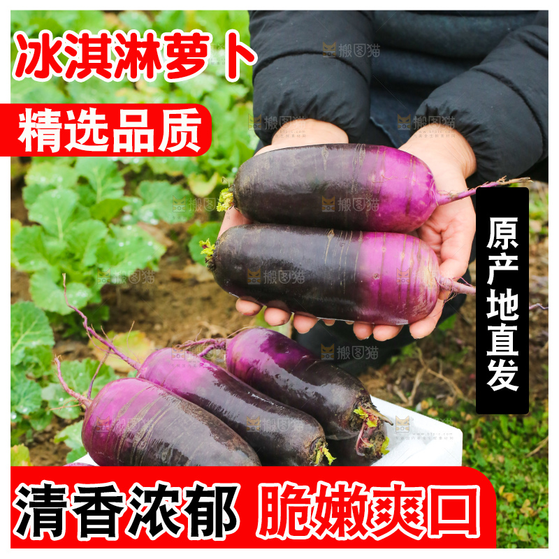 手里拿着冰淇凌萝卜