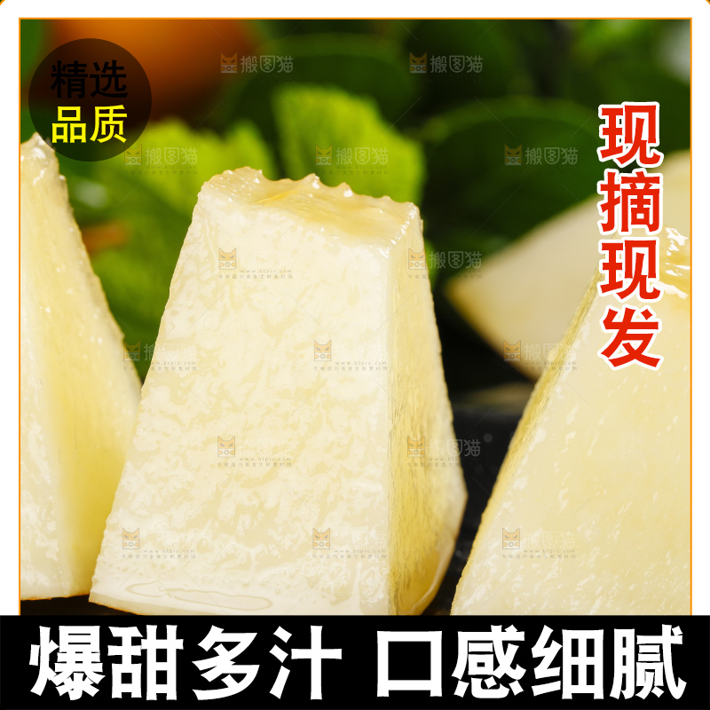 深底上的黄河蜜瓜
