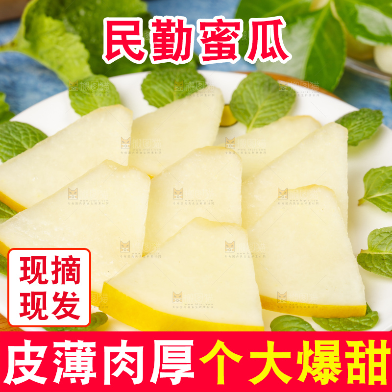 浅底上的黄河蜜瓜