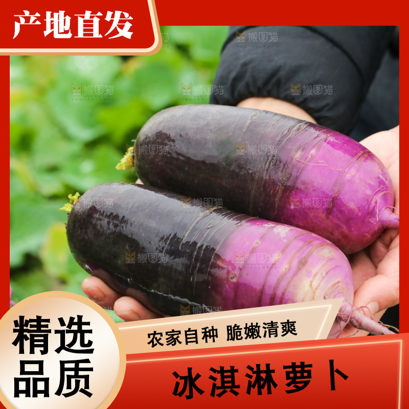 手里拿着冰淇凌萝卜