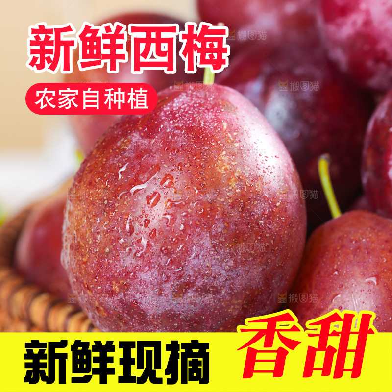 浅底上的澳洲西梅