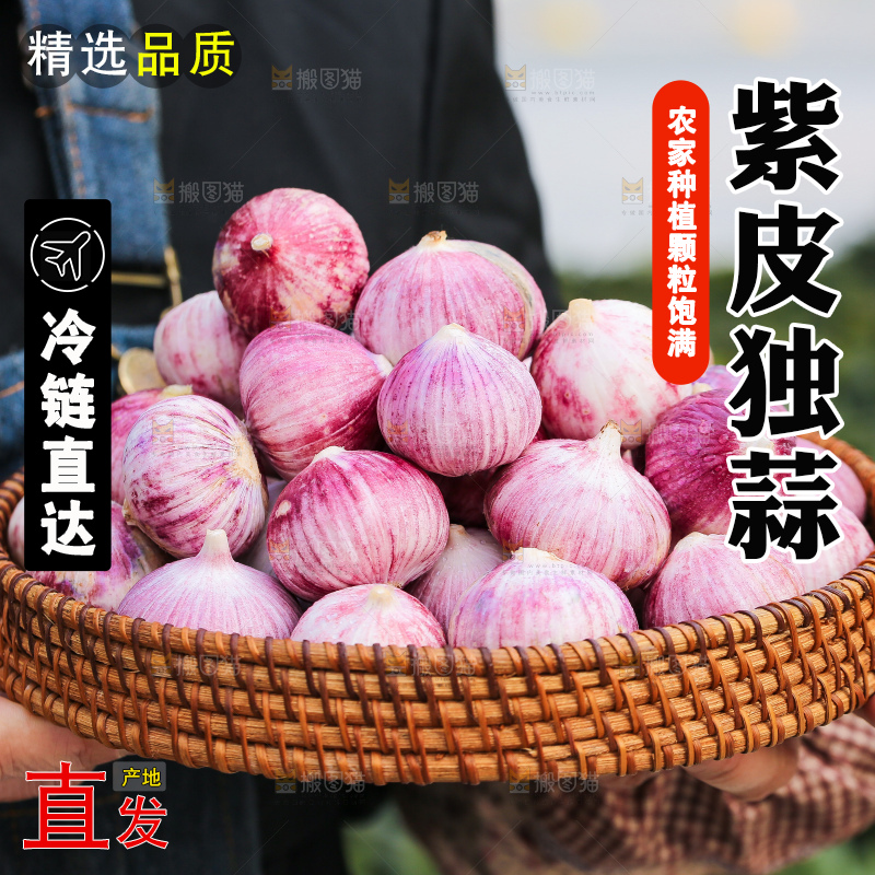 手里拿着紫皮独头蒜