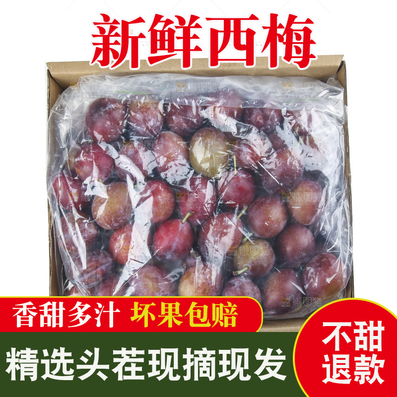 白底上的澳洲西梅