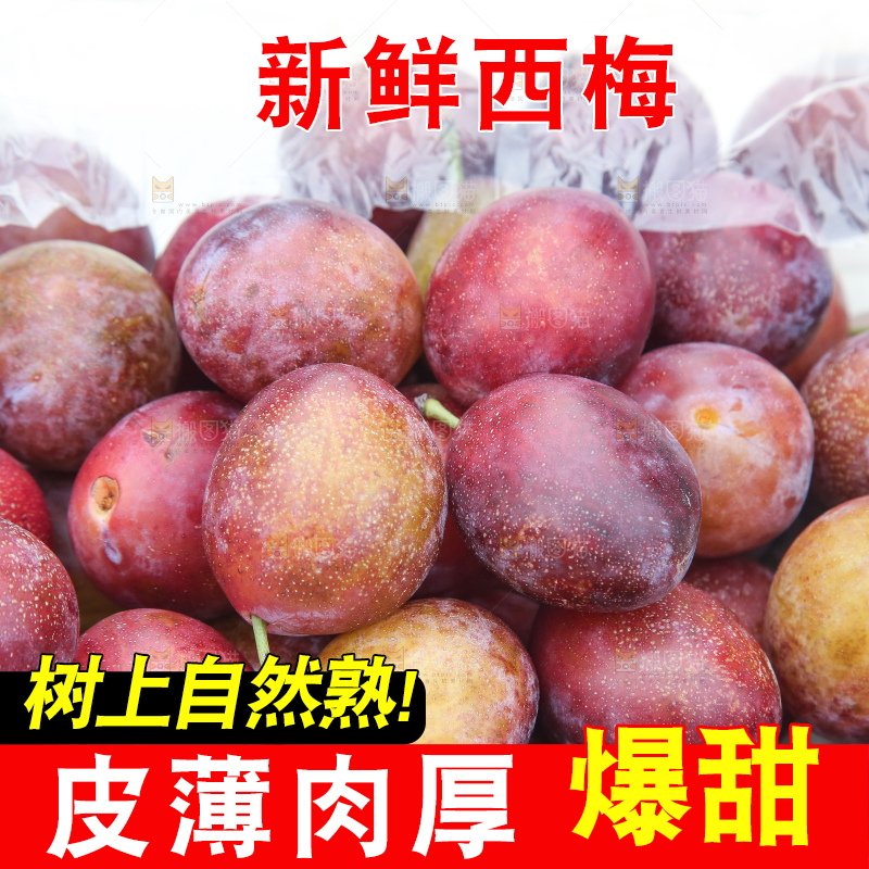 深底上的澳洲西梅