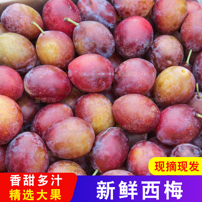 深底上的澳洲西梅
