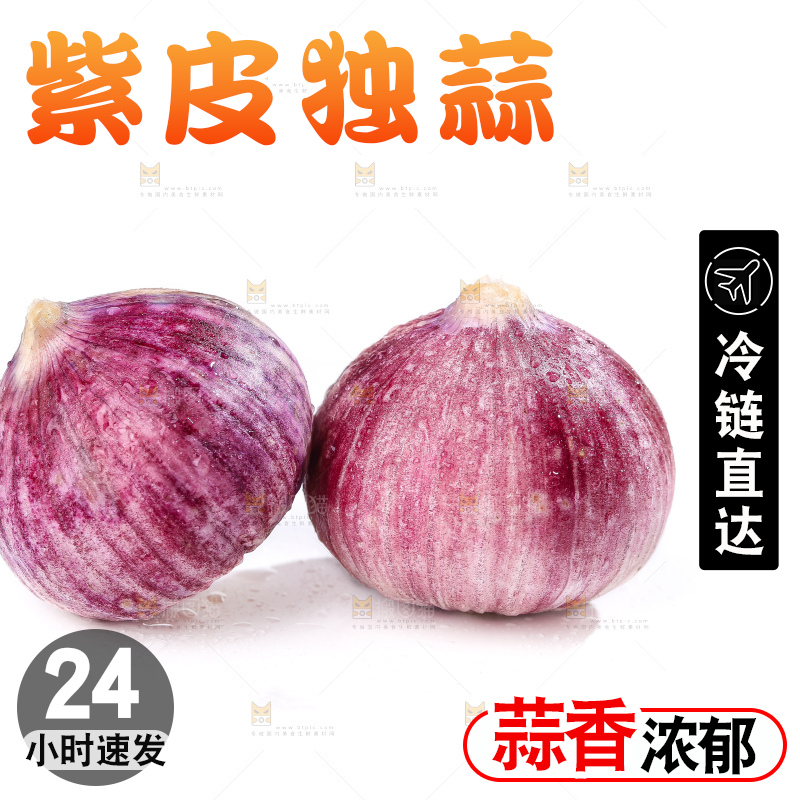 白底上的紫皮独头蒜
