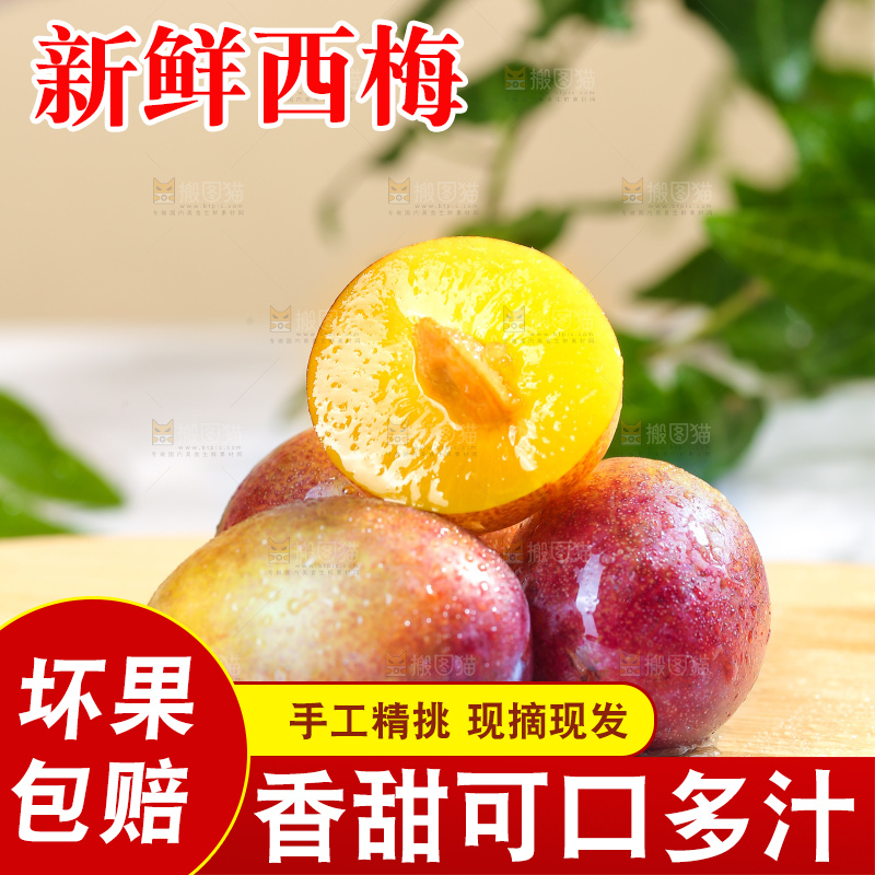 浅底上的澳洲西梅
