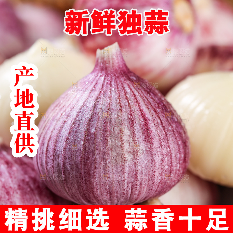 木底上的紫皮独头蒜