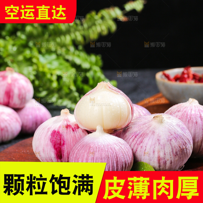 深底上的紫皮独蒜