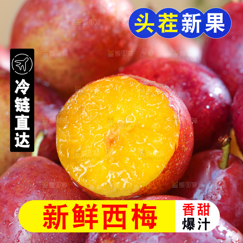 浅底上的澳洲西梅