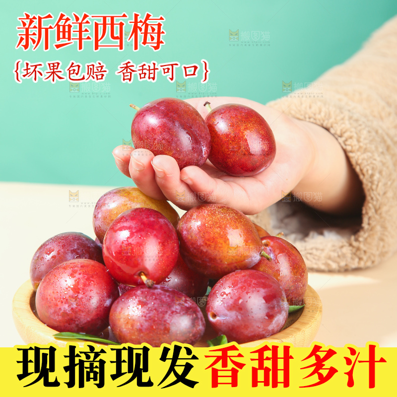 浅底上的澳洲西梅