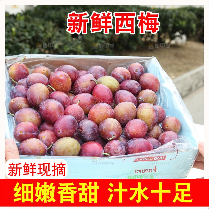 手里拿着澳洲西梅