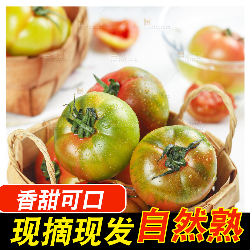浅底上的铁皮西红柿