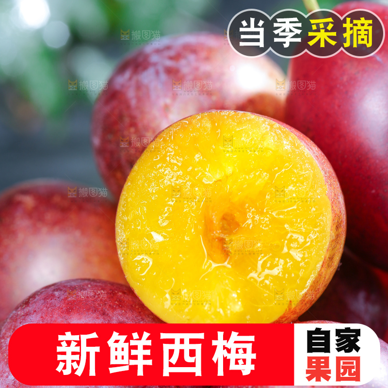深底上的澳洲西梅