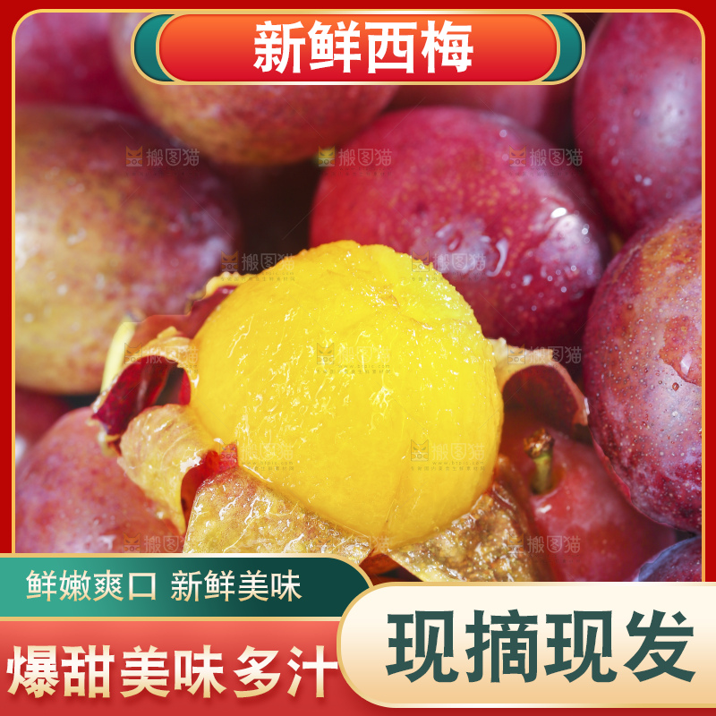 浅底上的澳洲西梅